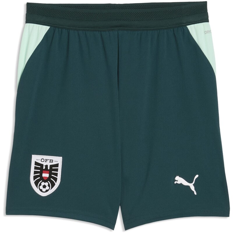 Kraťasy Puma Green 5911690