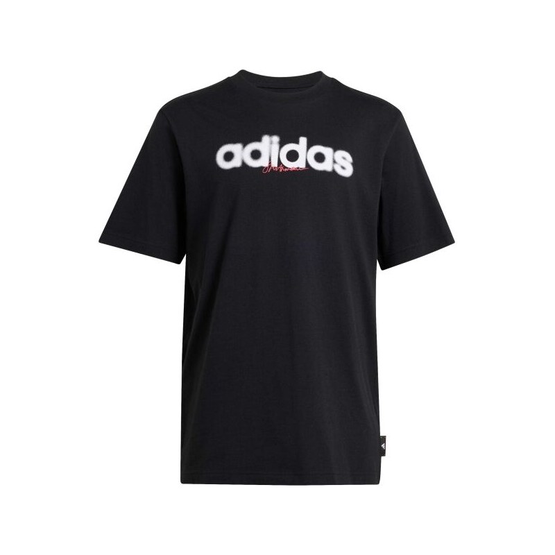 adidas MODERN ESSENTIALS BLUR LINEAR GRAPHIC Pánské triko