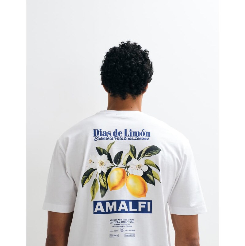 ONLY & SONS relaxed fit t-shirt with amalfi back print in white