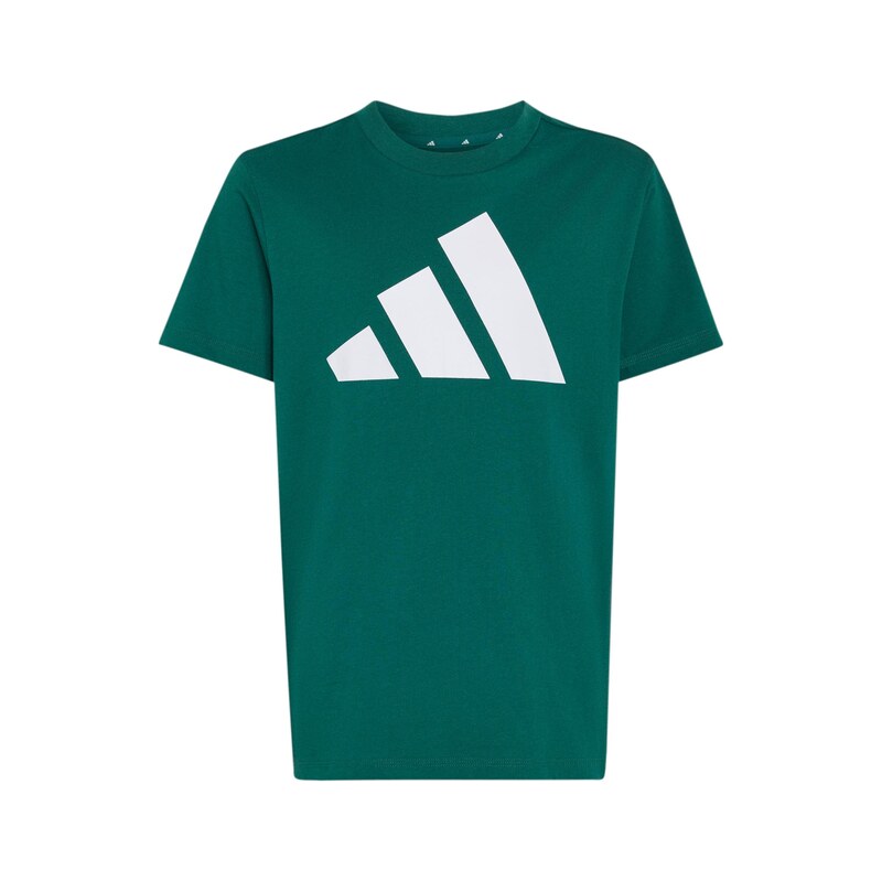 ADIDAS SPORTSWEAR Funkční tričko Essentials zelená / bílá