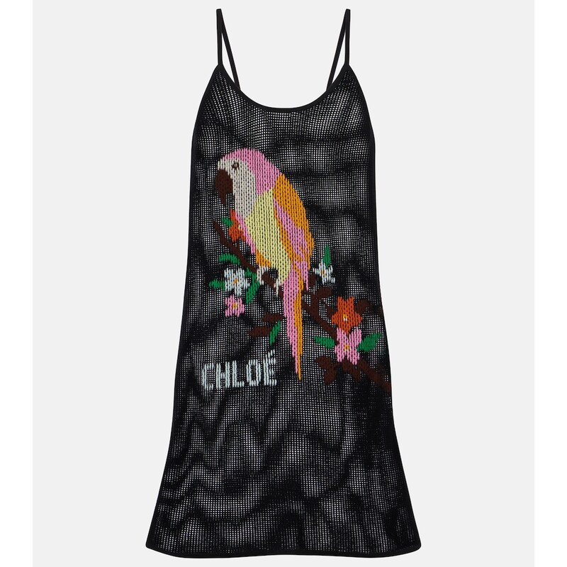 Chloé Embroidered cotton minidress