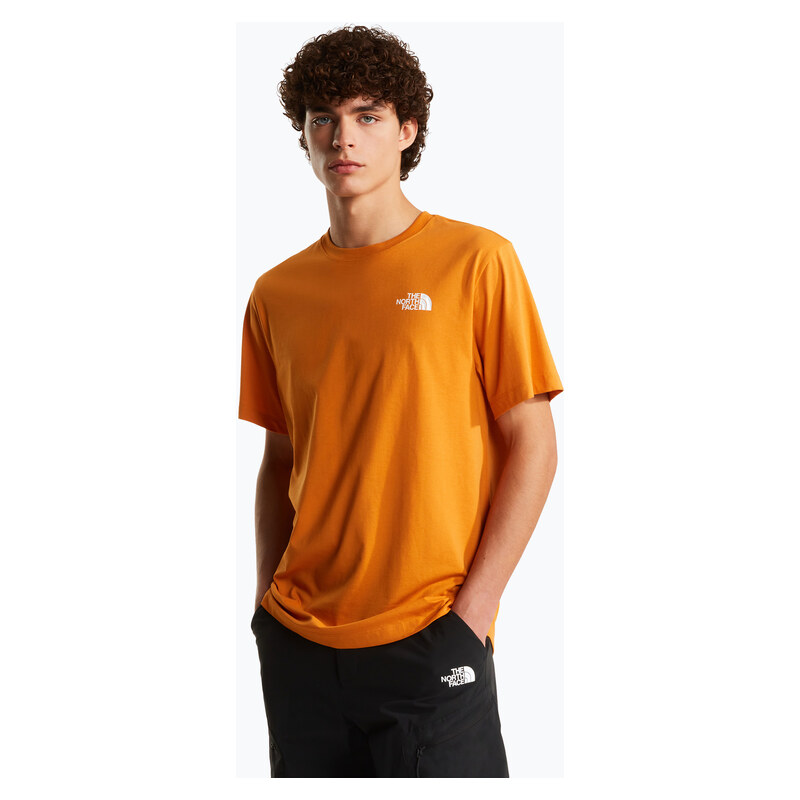 Pánské tričko na lezení The North Face Evolution Box NSE dust