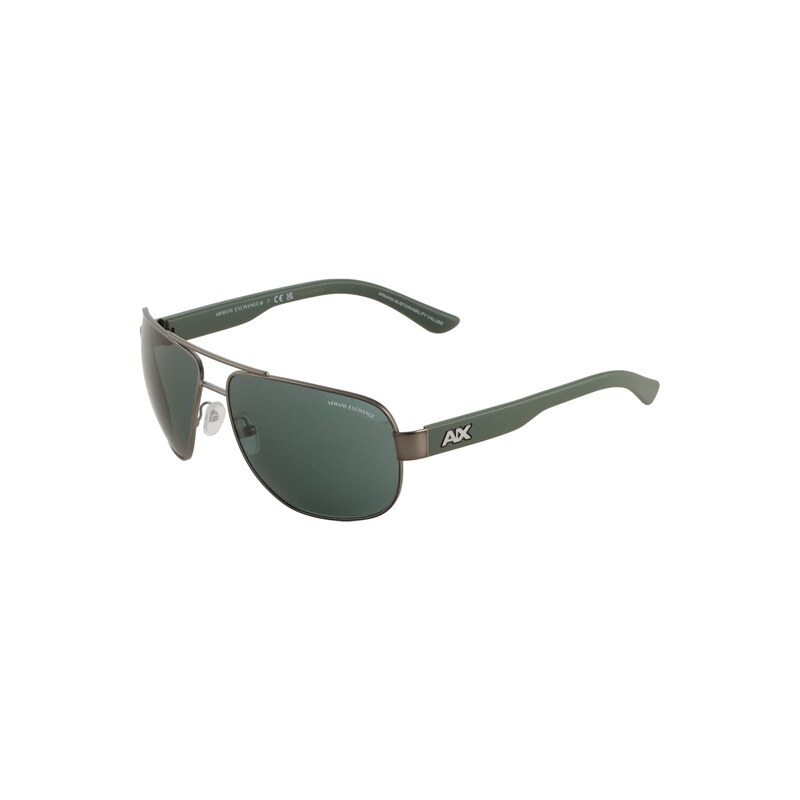 ARMANI EXCHANGE Sluneční brýle 0AX2012S stříbrně šedá / tmavě