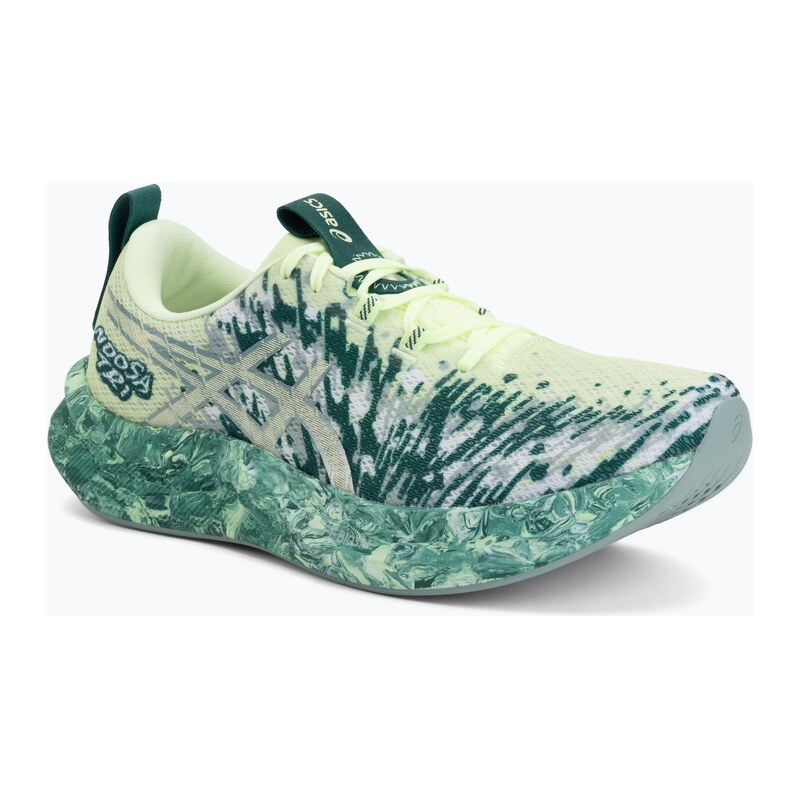 Pánské běžecké boty ASICS Noosa Tri 16 illuminate yellow/jewel