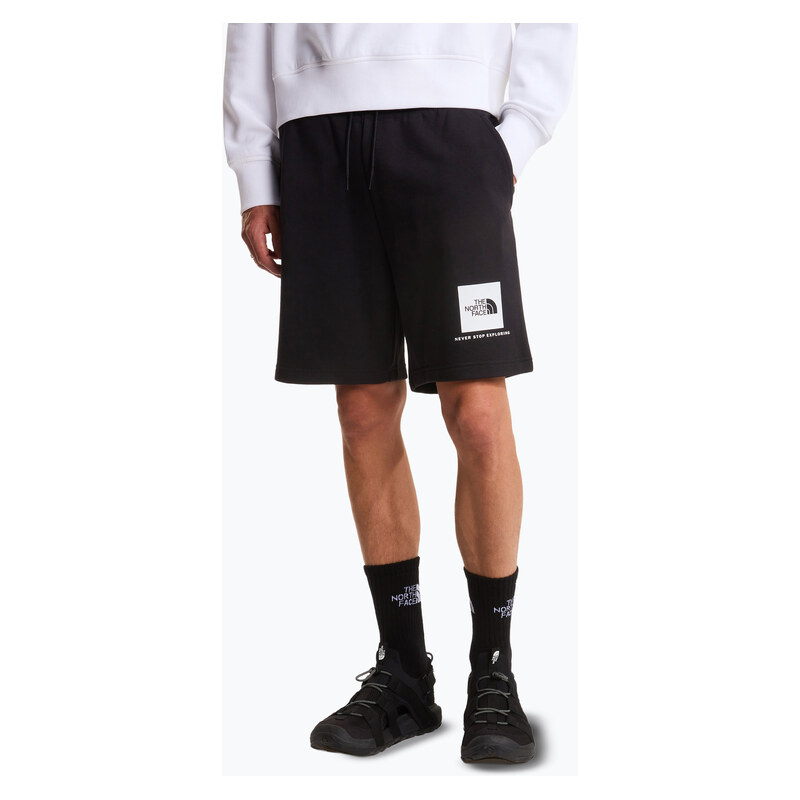 Pánské trekové šortky The North Face Box Nse Light Regular