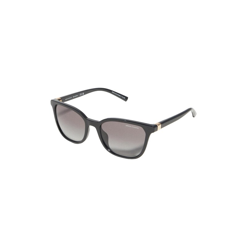 ARMANI EXCHANGE Sluneční brýle 0AX4168SU černá