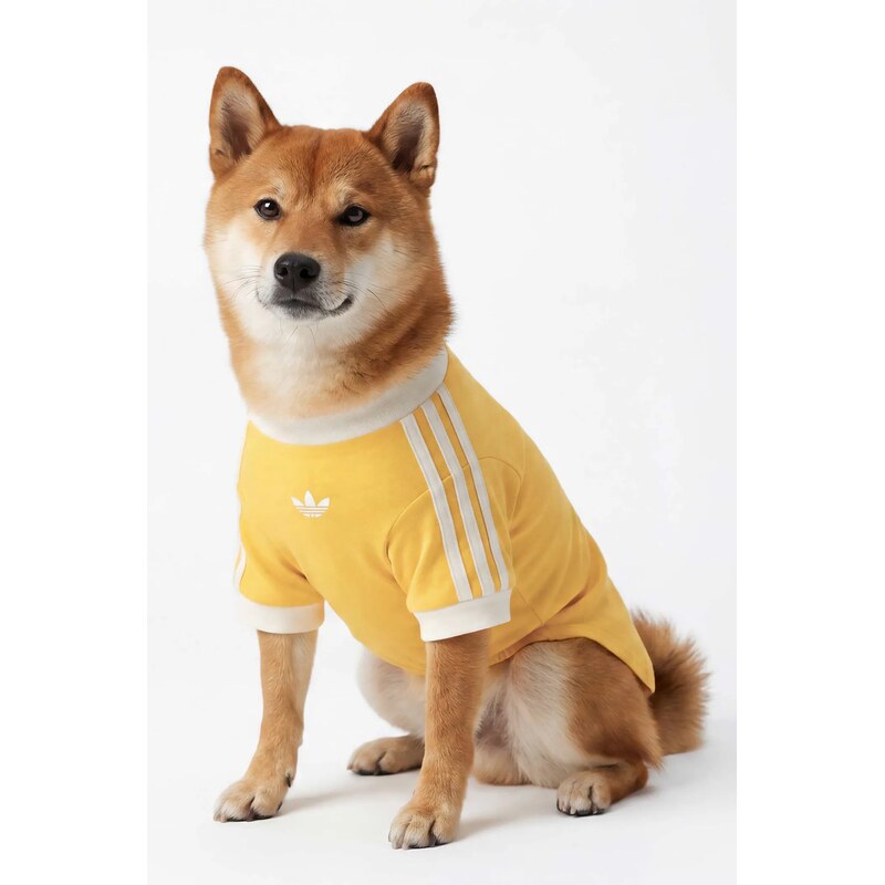 adidas Originals pro mazlíčka Pet Cali
