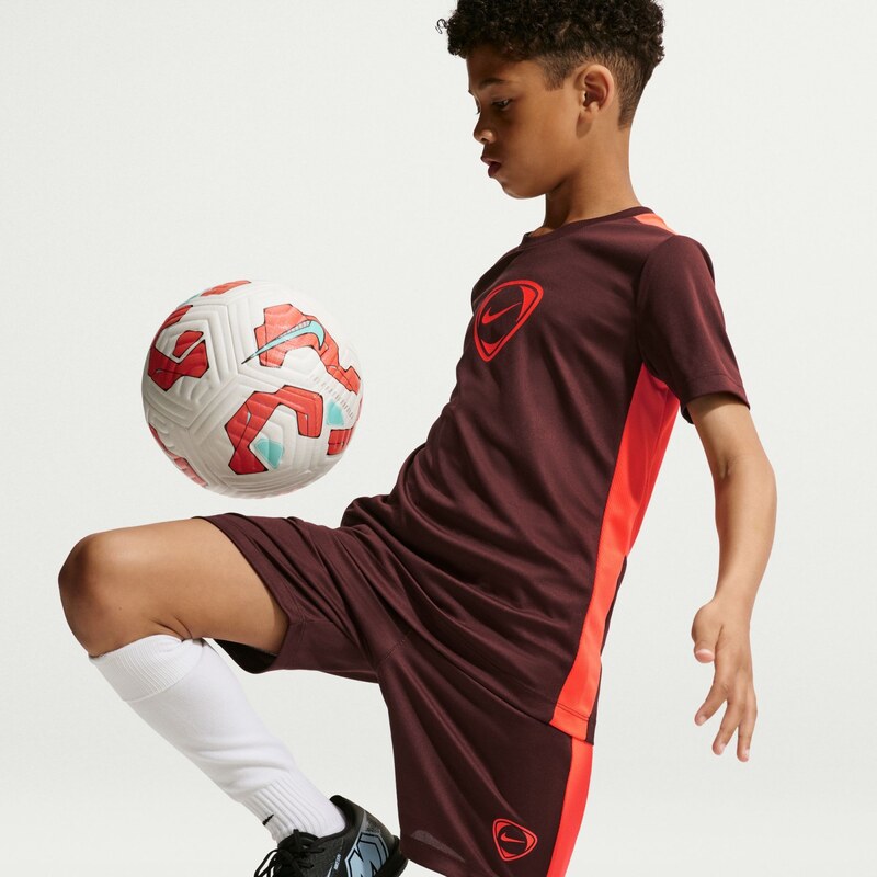 Nike Academy+ MYSTIC DATES/BRIGHT CRIMSON