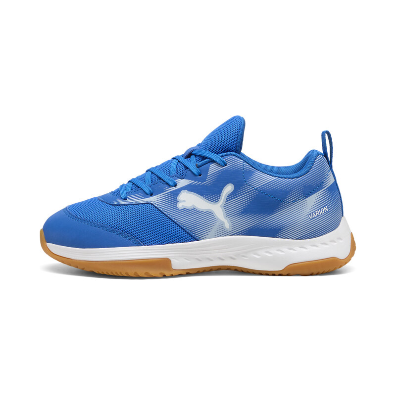 PUMA Varion 3 Indoor Shoes Youth