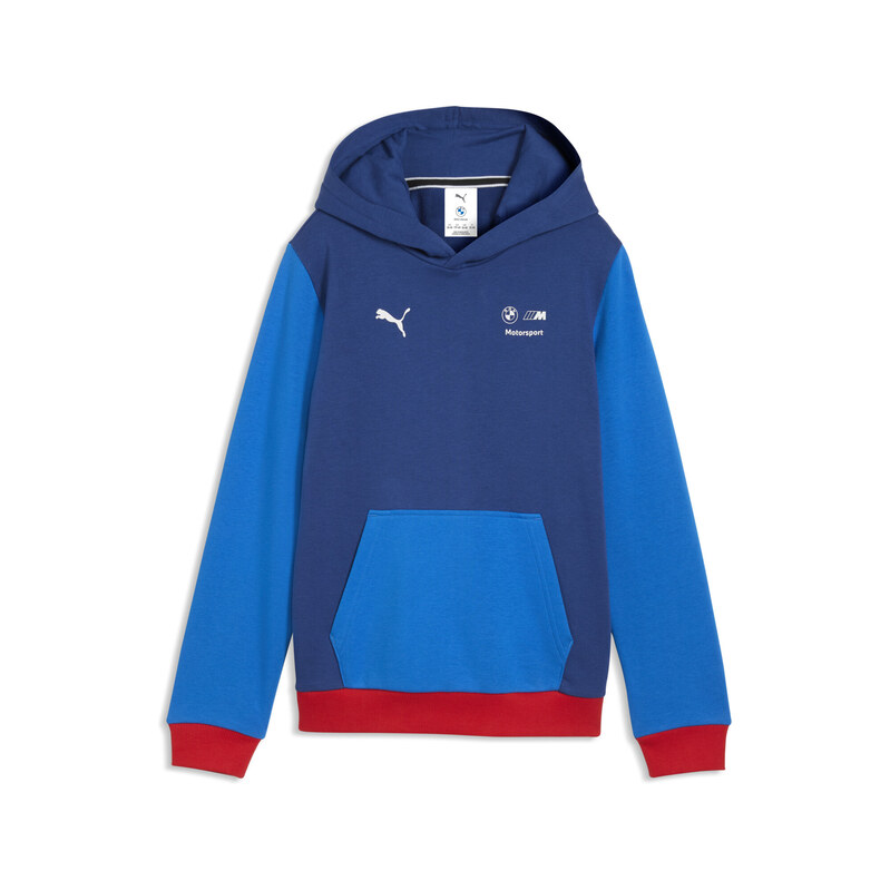 PUMA BMW M MOTORSPORT Essentials Hoodie Youth