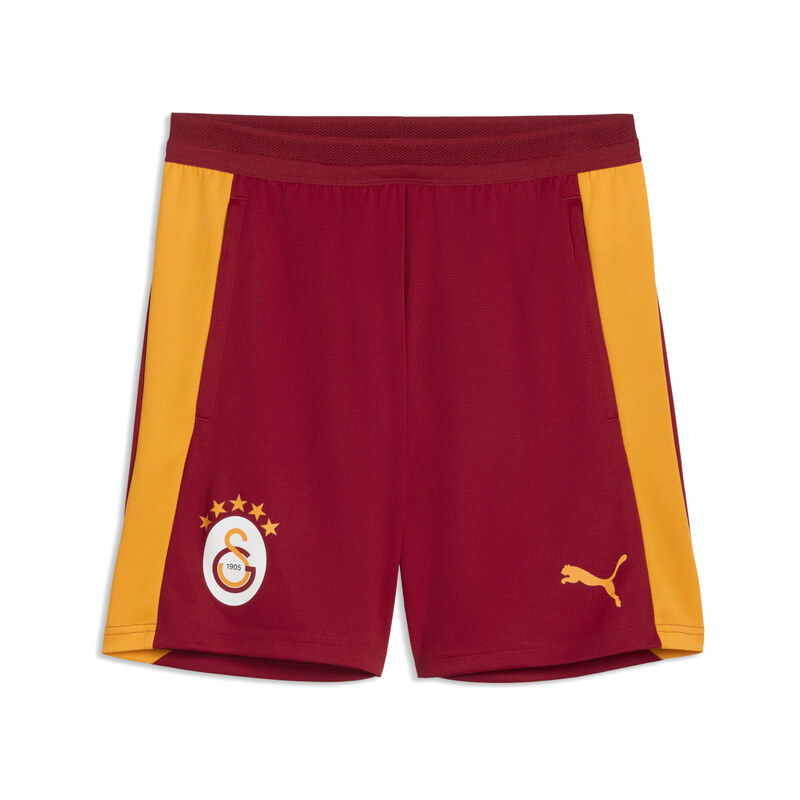 PUMA Galatasaray S.K. Slim Training Shorts Men