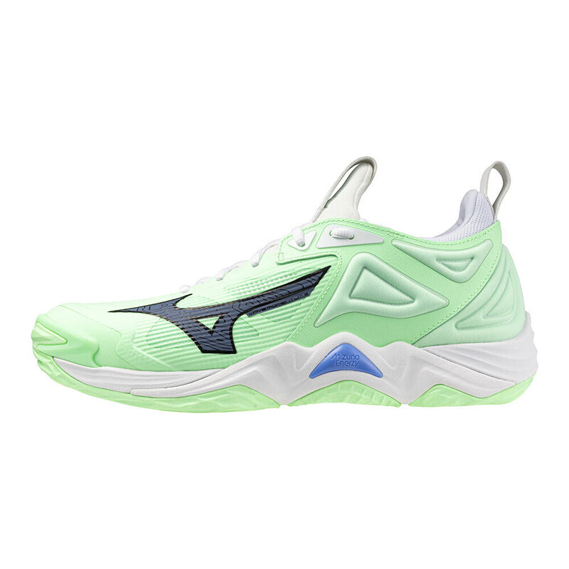 MIZUNO Sálové boty Mizuno Wave Momentum