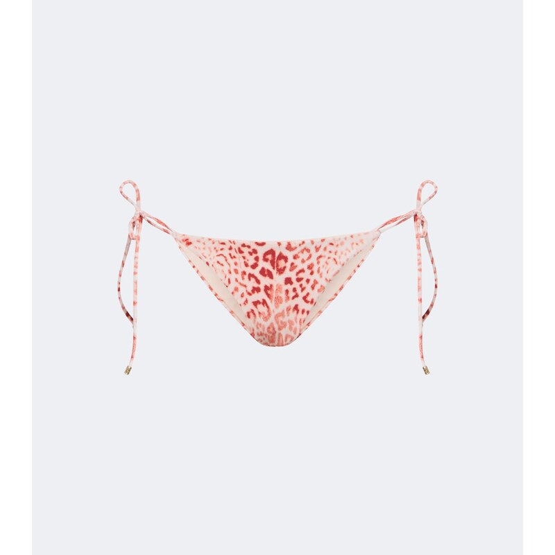Roberto Cavalli Leopard-print bikini bottoms