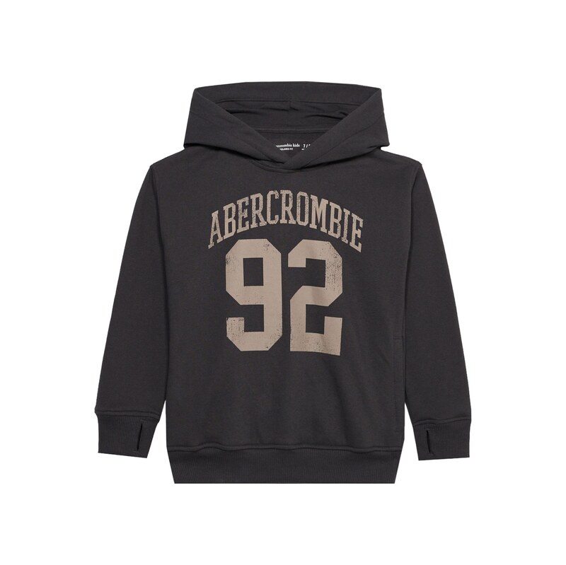 Abercrombie & Fitch Mikina antracitová / barvy bláta
