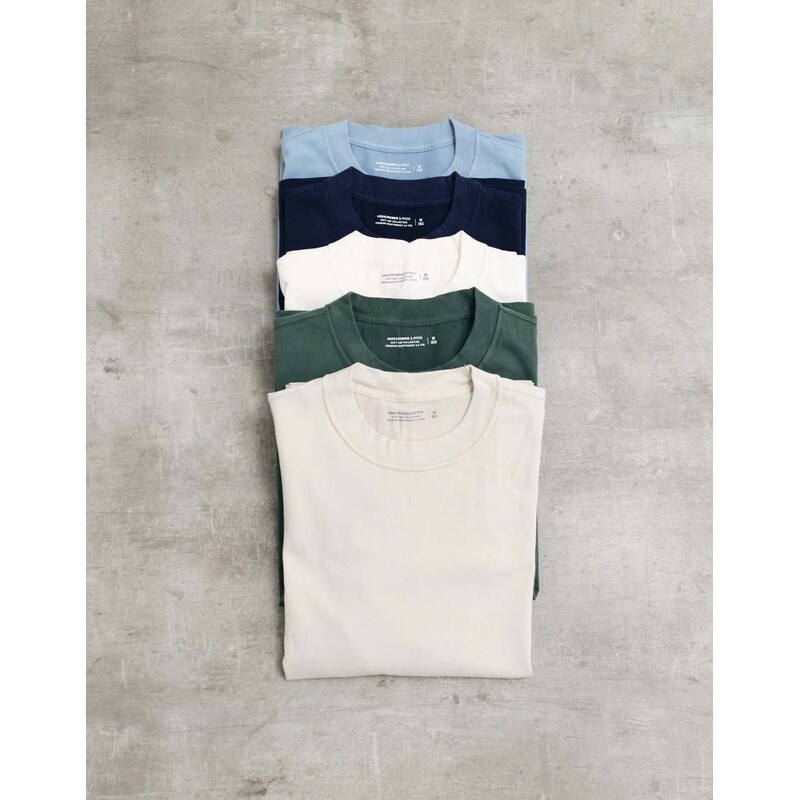 Abercrombie & Fitch 5 pack premium heavyweight t-shirt in multi