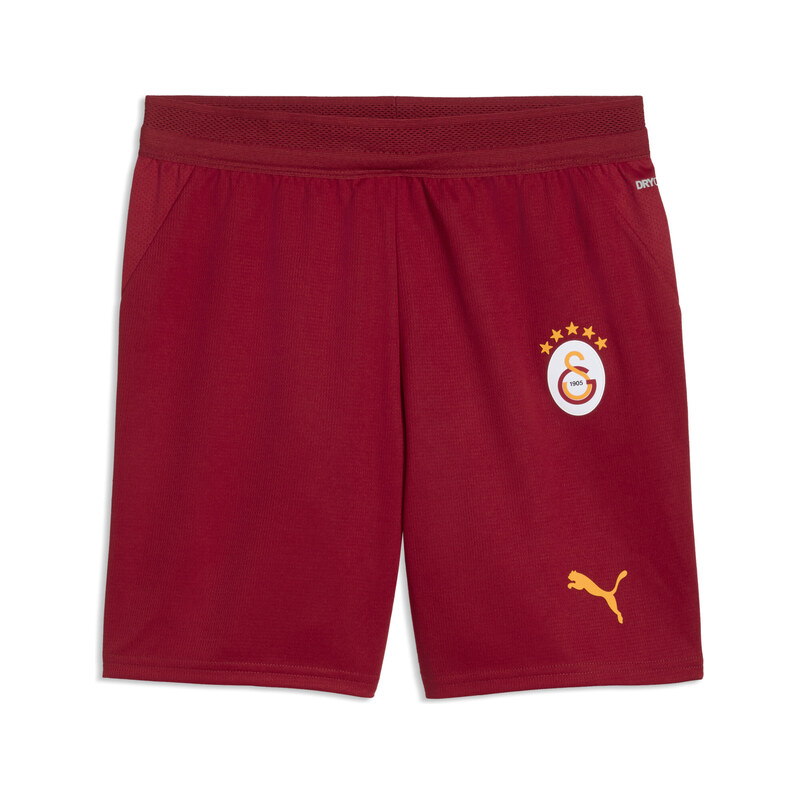 PUMA Galatasaray S.K. 26/27 Shorts Youth