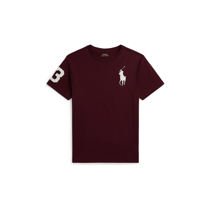Polo Ralph Lauren tričko dětské bavlněné
