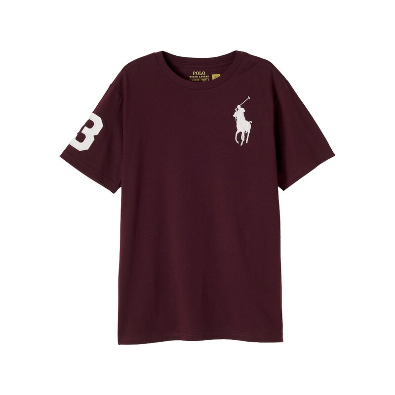 Polo Ralph Lauren Kids Pony cotton jersey T-shirt