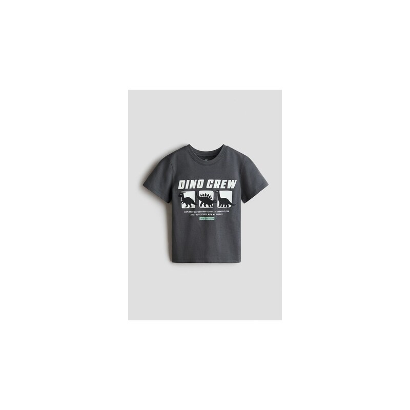 H&M - Bavlněné tričkos potiskem - Šedá/Dino Crew