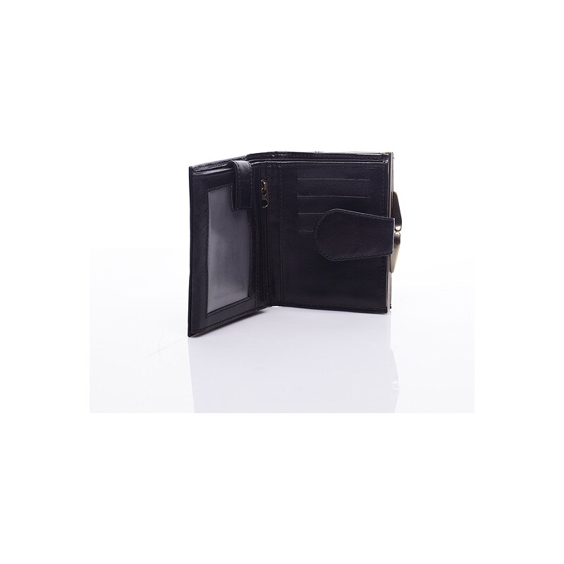 Bellugio Dámská kožená peněženka Leather Dream in Black