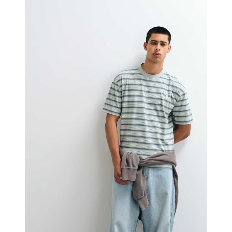 Hollister heavyweight boxy t-shirt in green stripe