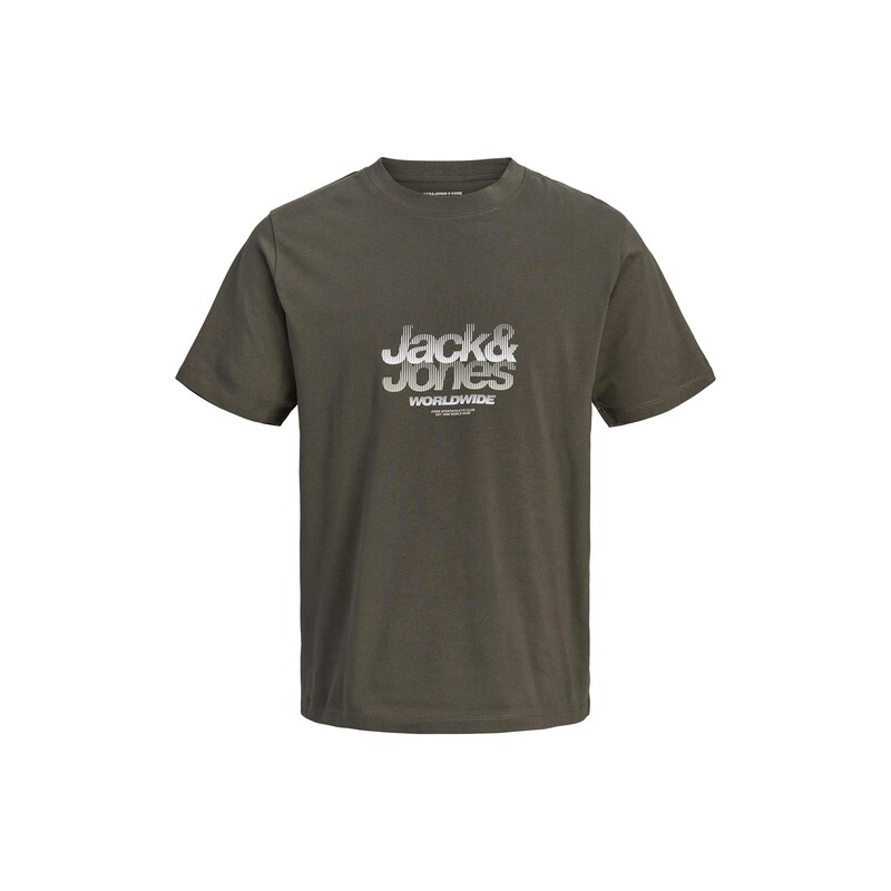 JACK & JONES Tričko JCOECHO jedle / bílá / offwhite