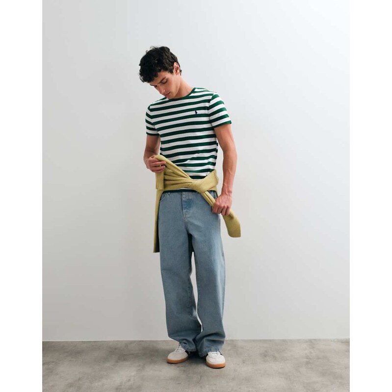 Polo Ralph Lauren striped slim fit t-shirt in green and white