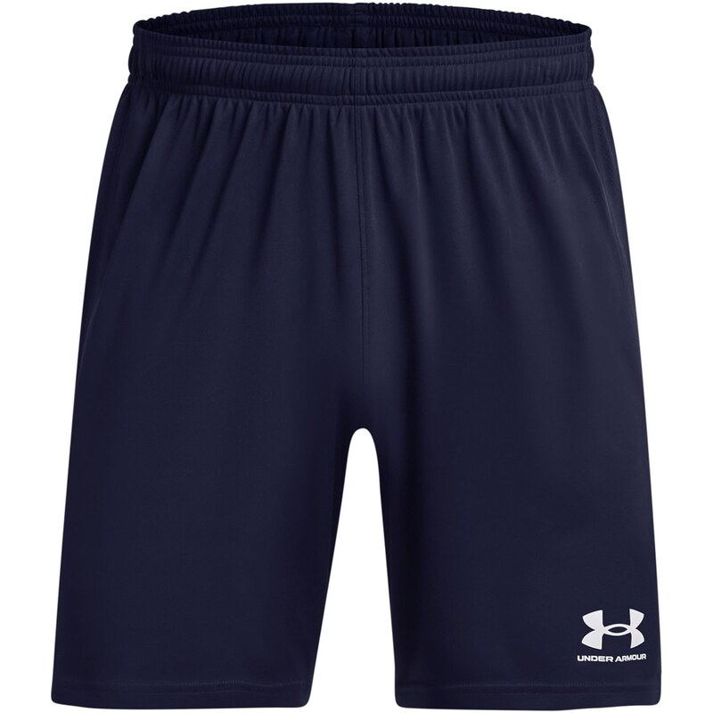 Kraťasy Under Armour Blue 228534
