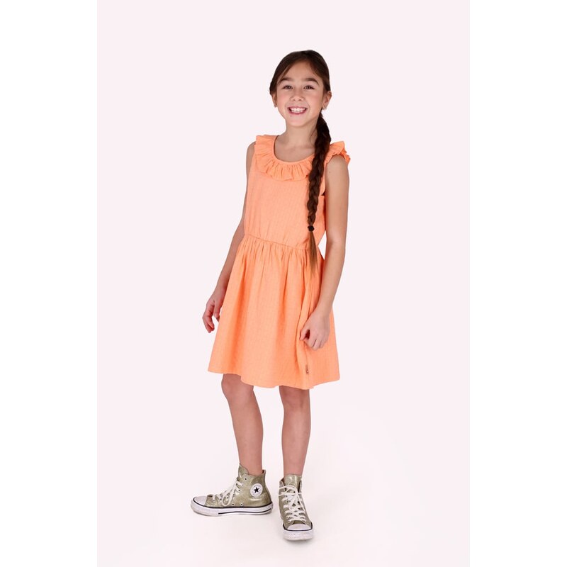 B.Nosy Orange 167924