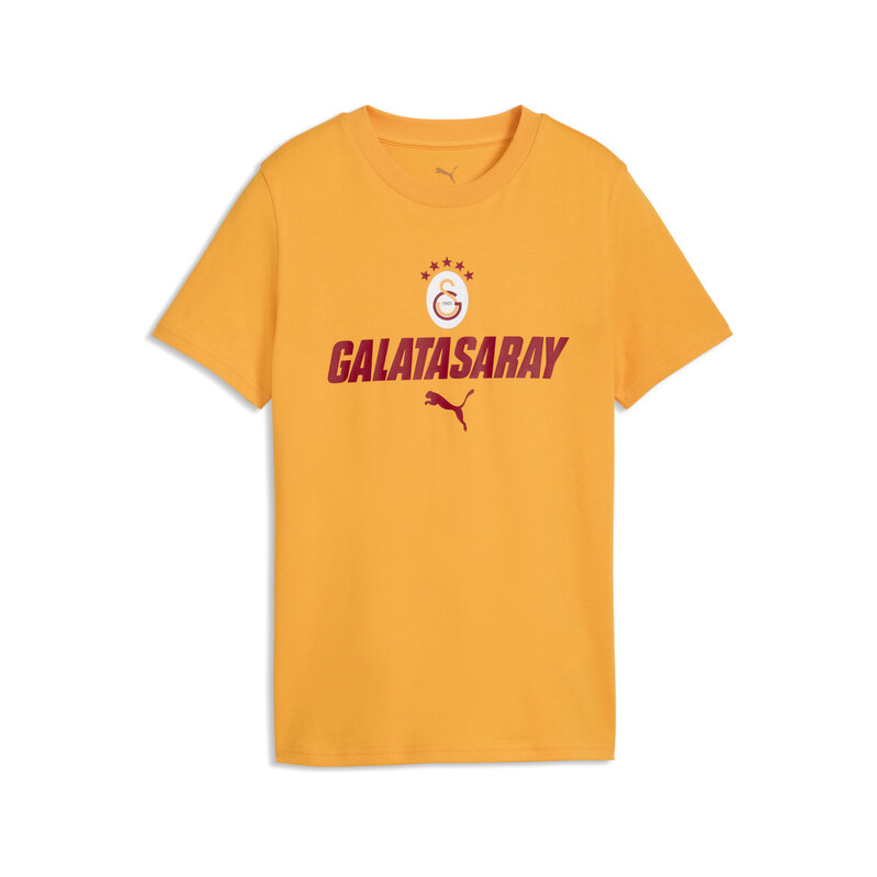PUMA Galatasaray S.K. ftblCulture Tee Youth