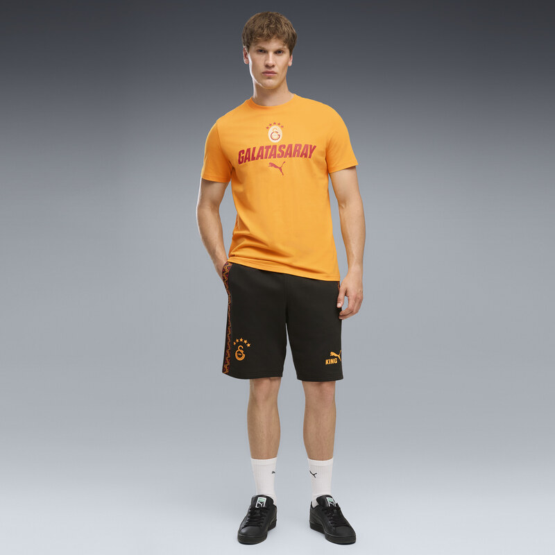 PUMA Galatasaray S.K. KING Shorts Men