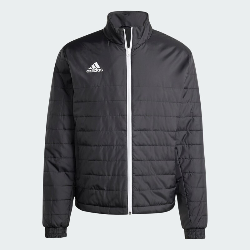 ADIDAS Bunda Entrada Light