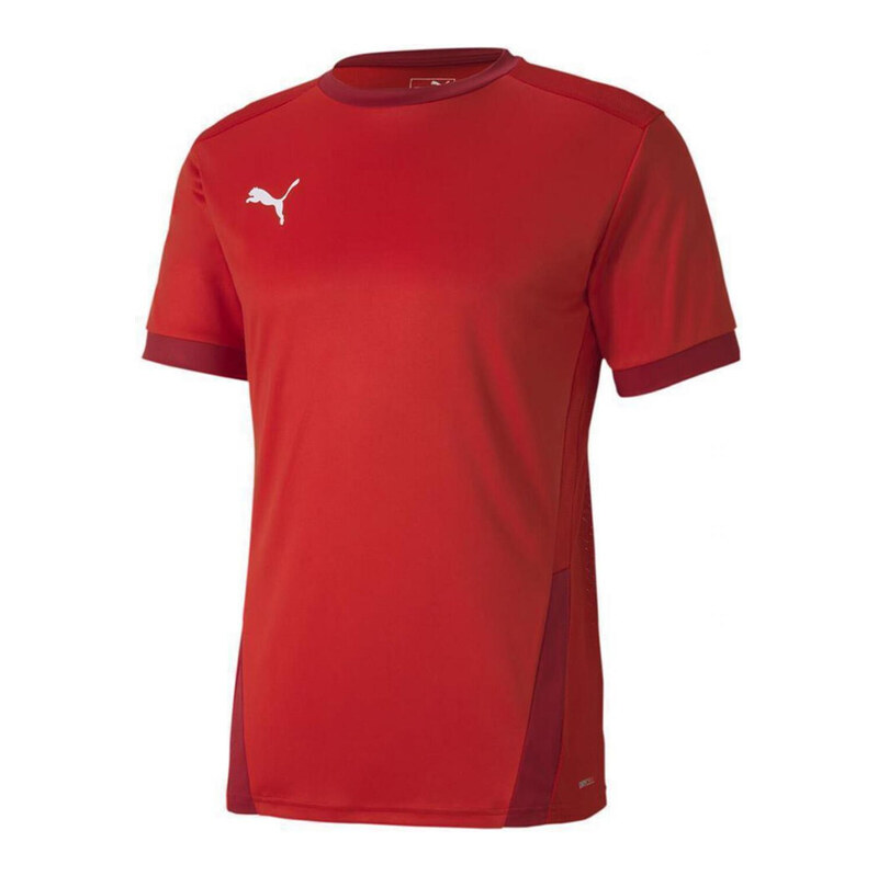 PUMA Pánské dresy TeamGoal 23
