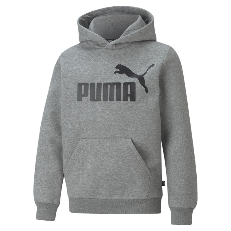 PUMA Essentials Big Logo Mikina pro mládež PUMA Medium Gray