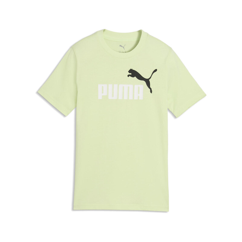 PUMA Essentials Colour No.1 Logo Tee Youth PUMA