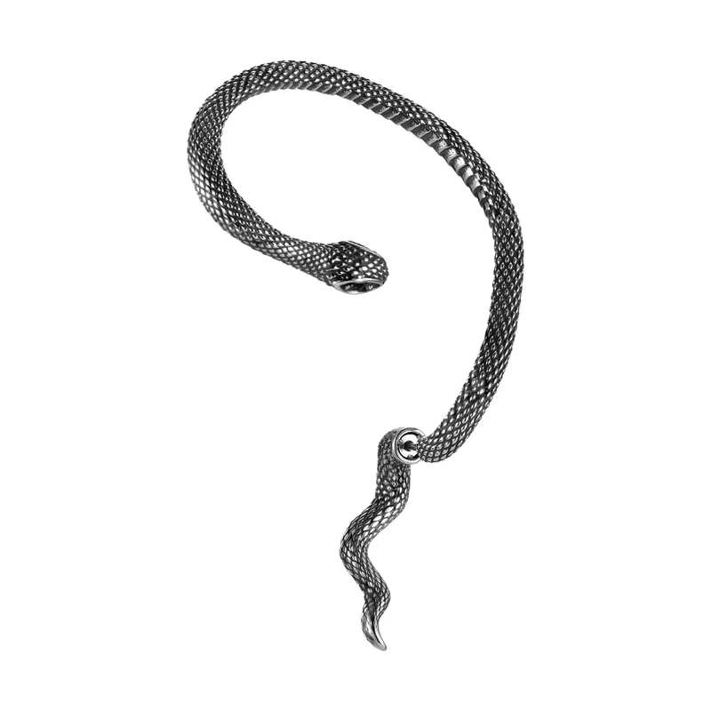 Titan Jewerly Záušnice z chirurgické oceli na puzetu Had Serpent
