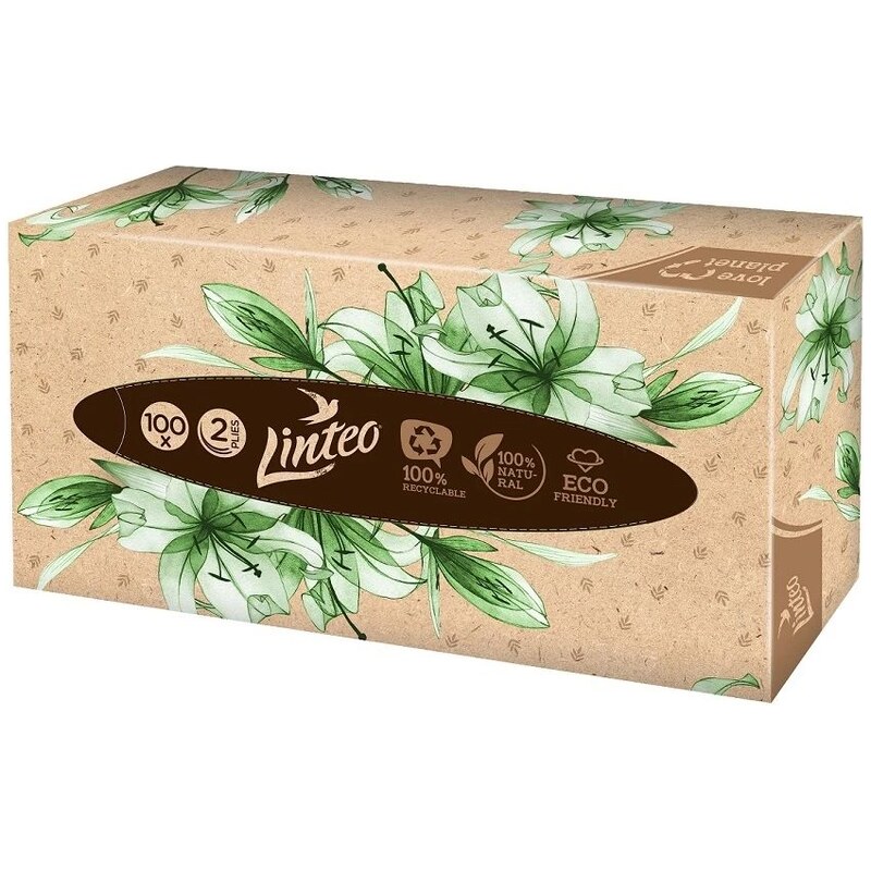Linteo BOX papírové kapesníky 2-vrstvé 100ks