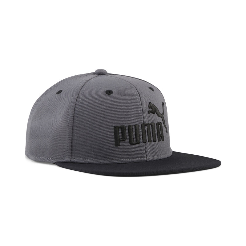 PUMA Essentials No.1 Logo Flat Brim Cap