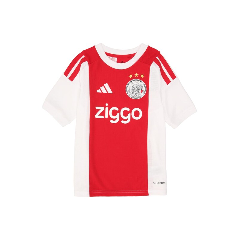 ADIDAS PERFORMANCE Funkční tričko AJAX červená / bílá