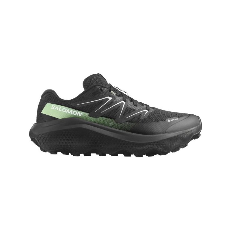 Salomon ULTRA FLOW 2 GTX Pánská obuv na trailový běh