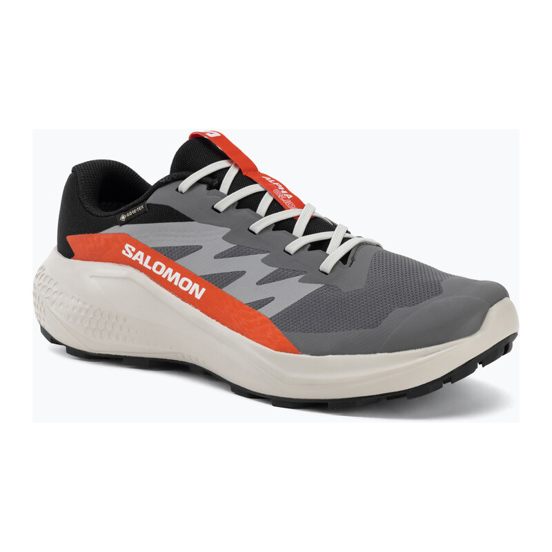 Pánské běžecké boty Salomon Alphaglide GTX castlerock/lunar rock