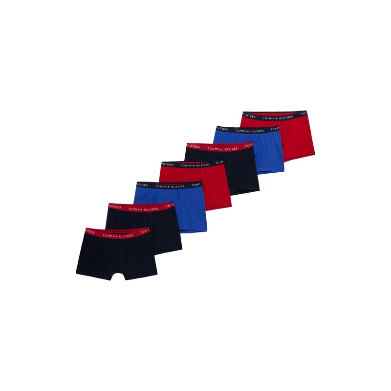 Tommy Hilfiger Underwear Spodní prádlo modrá / marine modrá /