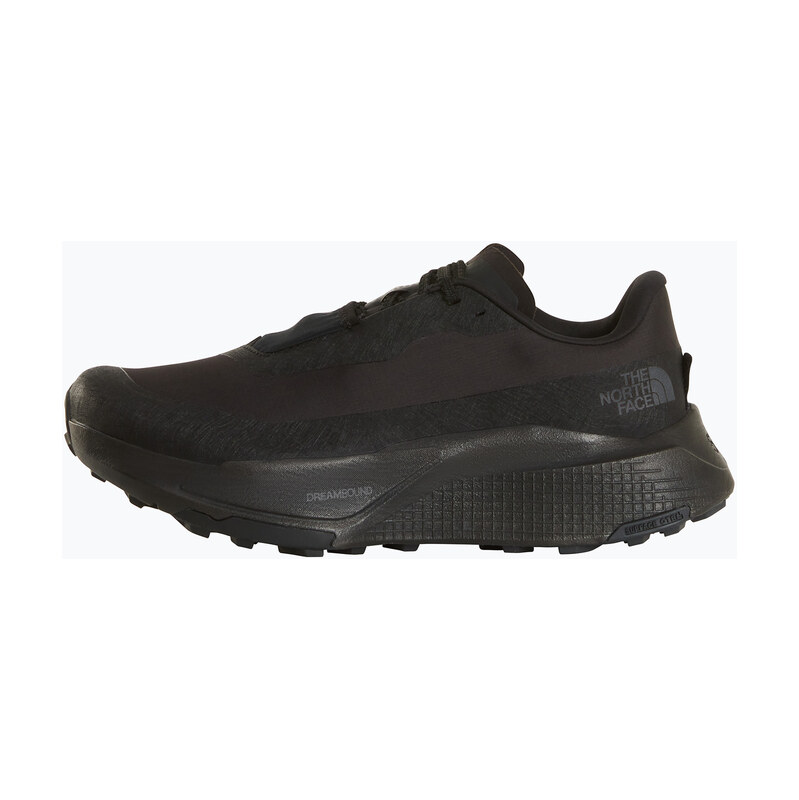 Pánské běžecké boty Buty The North Face Altamesa 500V2 GTX tnf