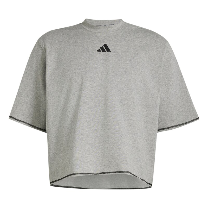 ADIDAS PERFORMANCE Funkční tričko šedá / černá