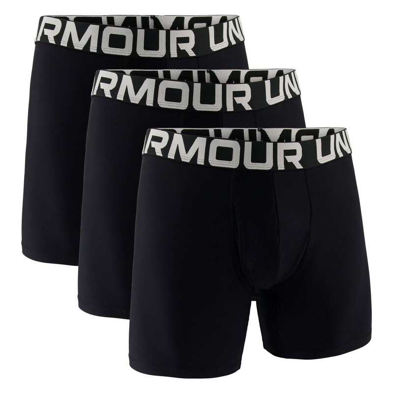 UNDER ARMOUR Boxerky černá / bílá