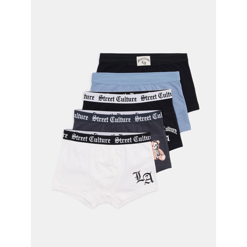 Sinsay - Bavlněné boxerky s motivem LA 5 pack - vícebarevná