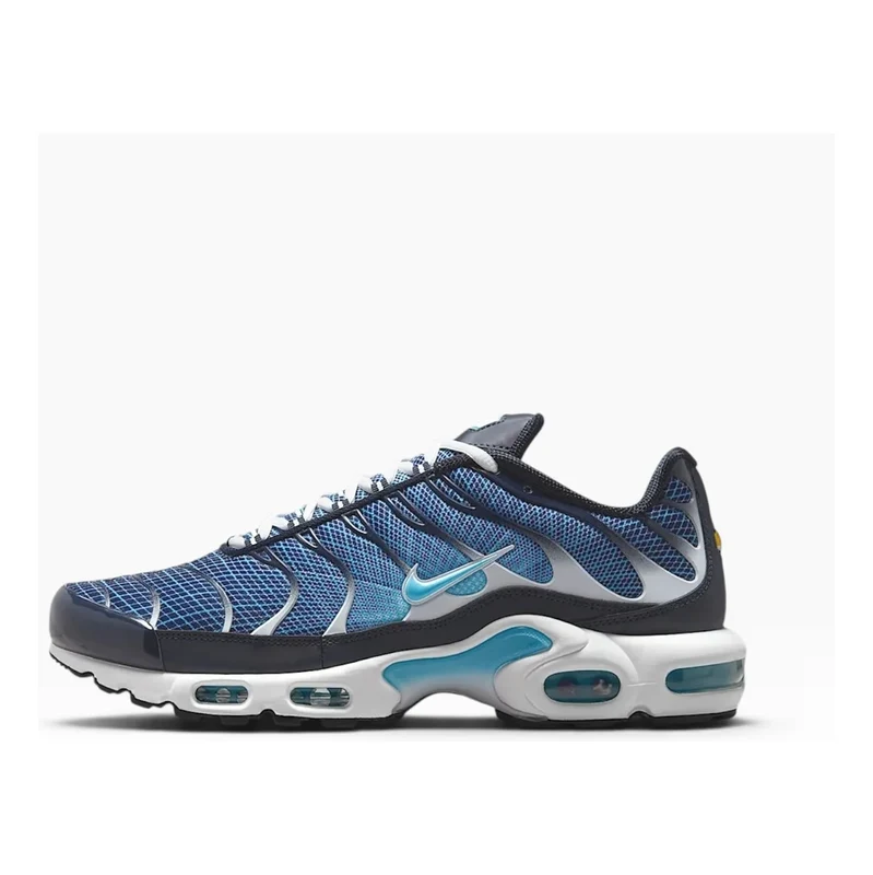 Nike Air Max Plus Dark Obsidian