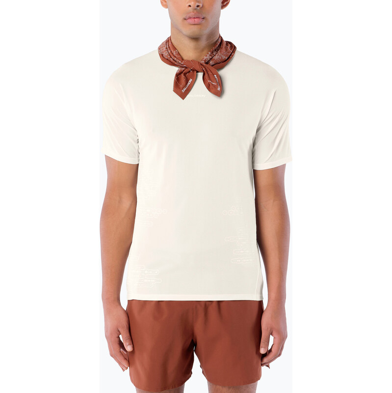 Pánské běžecké tričko Salomon Sense Aero GFX Tee SS whisper