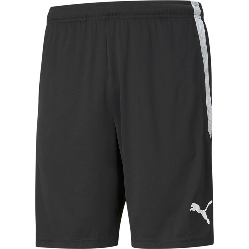 Kraťasy Puma Black 6826078