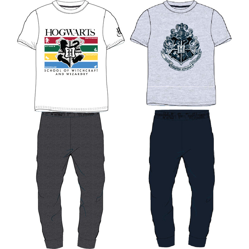 Harry Poter - licence Pánské pyžamo - Harry Potter 5304045, šedá